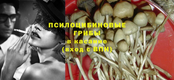 дмт Аркадак